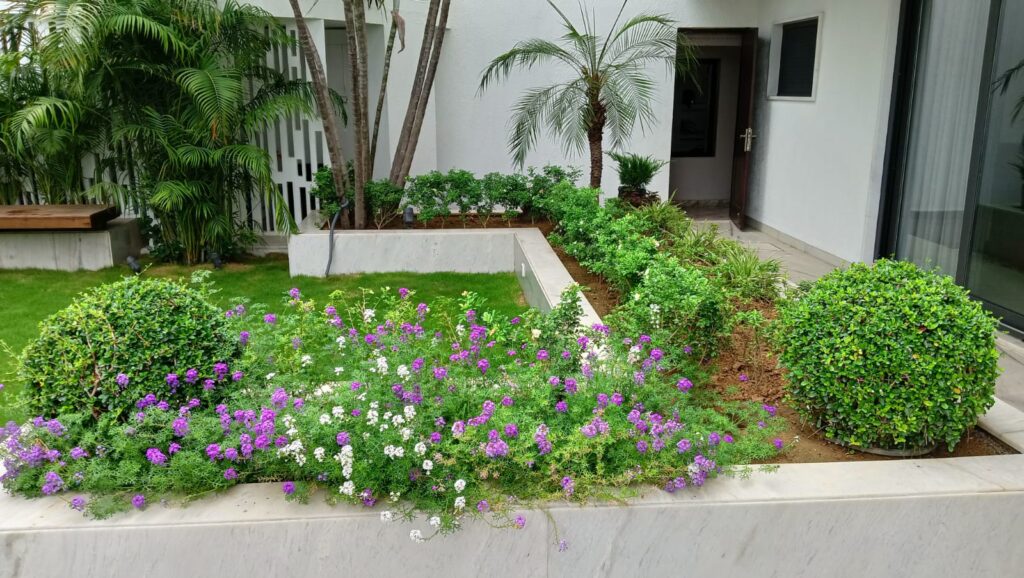 GARDEN & LAWN DESIGN SERVICES