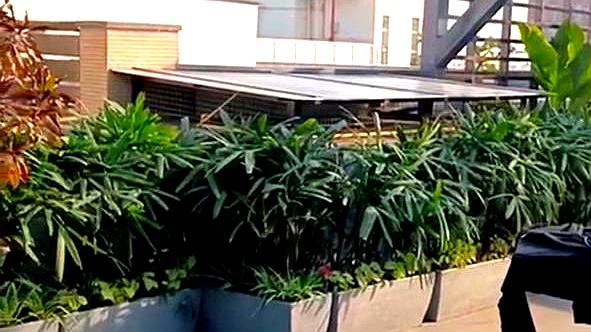 TERRACE GARDEN